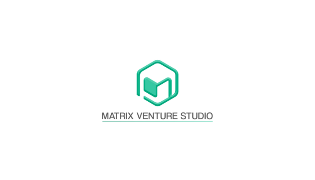 LOGOS SMART GOOSE (4)