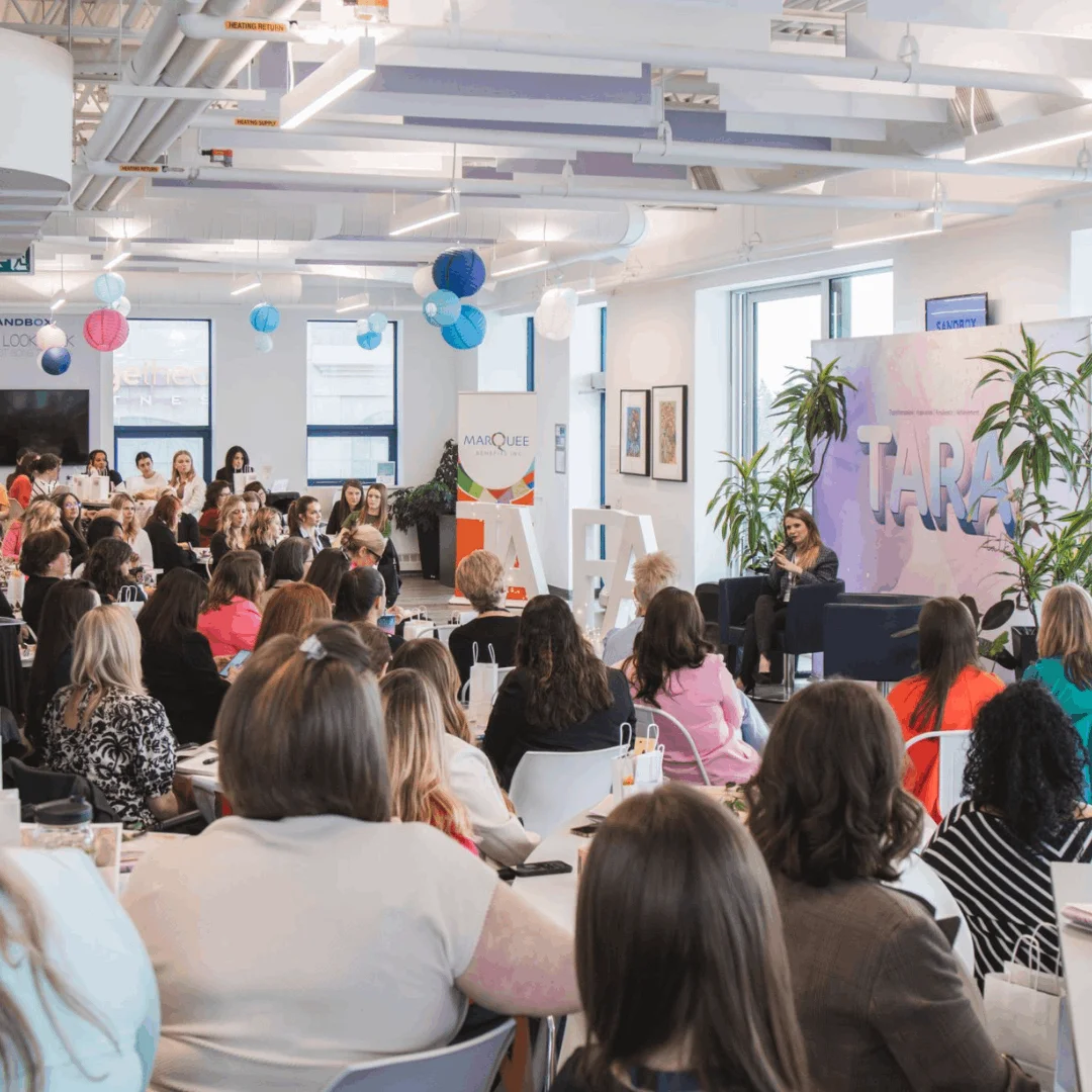 compressed-smart goose_ fotos carrossel