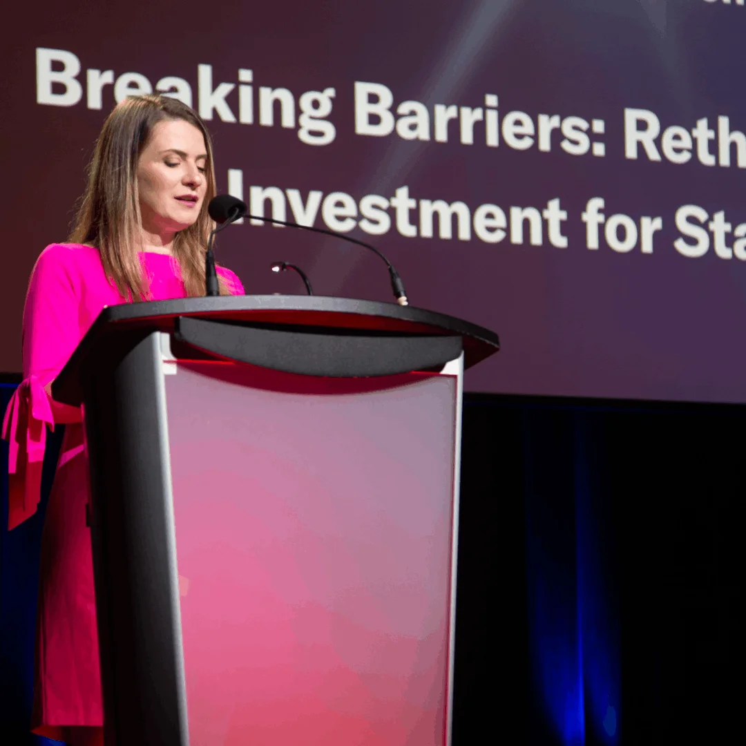 compressed-smart goose_ fotos carrossel (12)